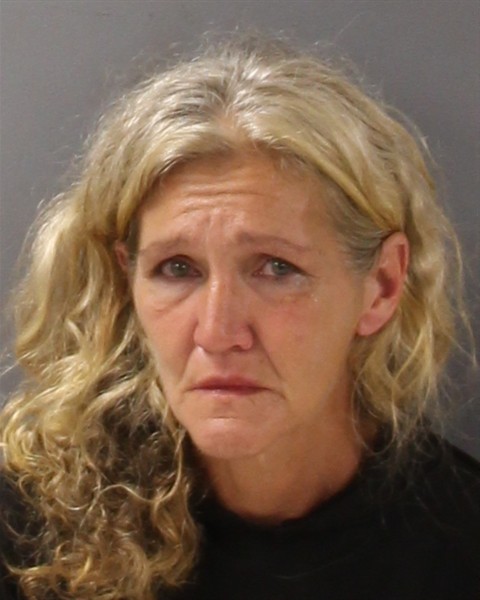 Mugshot of AMANDA DENISE DEITZ