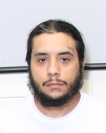 Mugshot of CHRISTOPHER MICHAEL PUJOL
