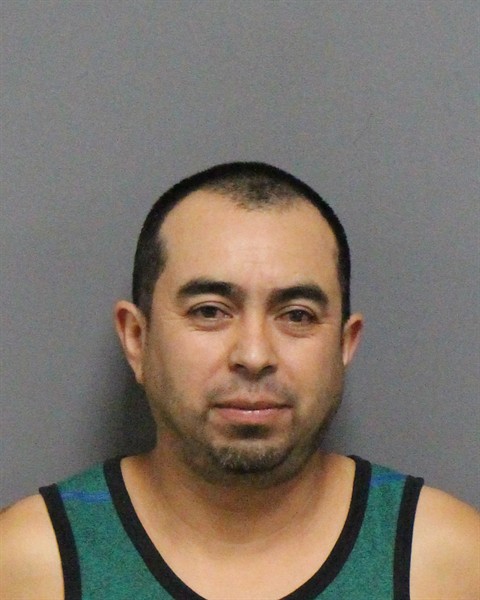 Mugshot of JULIO SOTO GAYOSSO