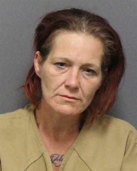 Mugshot of AMANDA MICHELLE REICHMAN