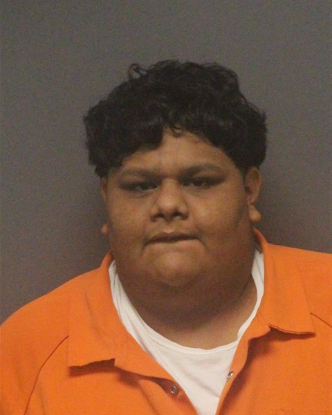 Mugshot of ERIK DOMINGUEZ-ANGEL