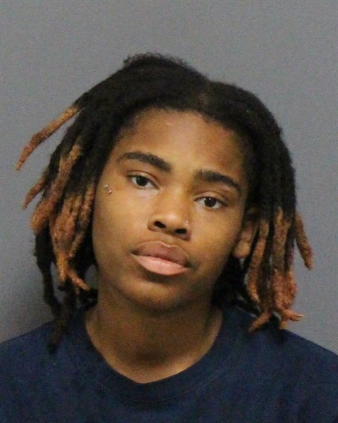 Mugshot of DENEE LIVETTE MARSHALL