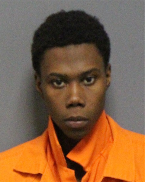 Mugshot of DALLAS MEKHI SILER