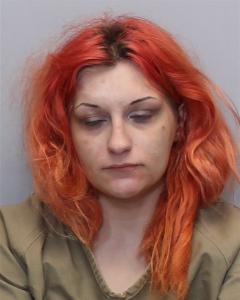 Mugshot of DANIELLE NICOLE MEADOR