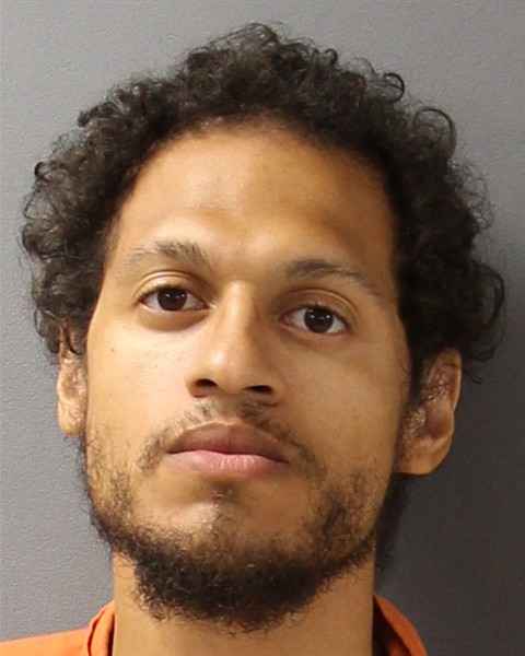 Mugshot of DERRICK ALEXANDER WHITEHEAD