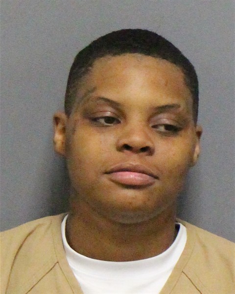 Mugshot of ANXIOUS ANASHA RAYTWAN MEADOWS