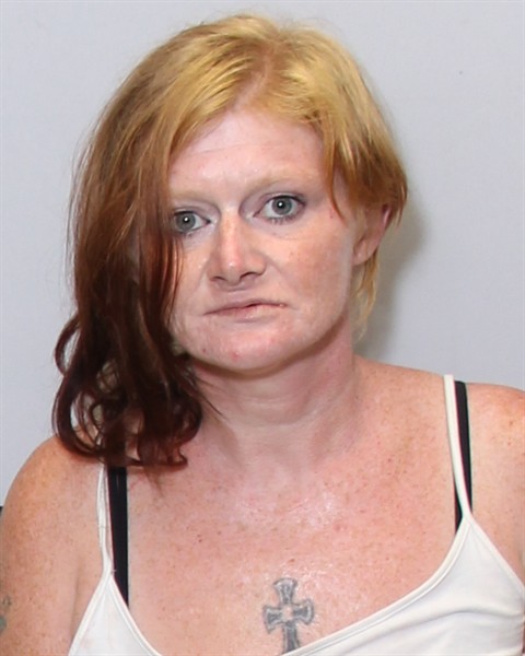 Mugshot of AMANDA SUE BIDDIX