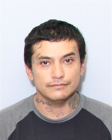 Mugshot of MIGUEL ANGEL RODRIGUEZ