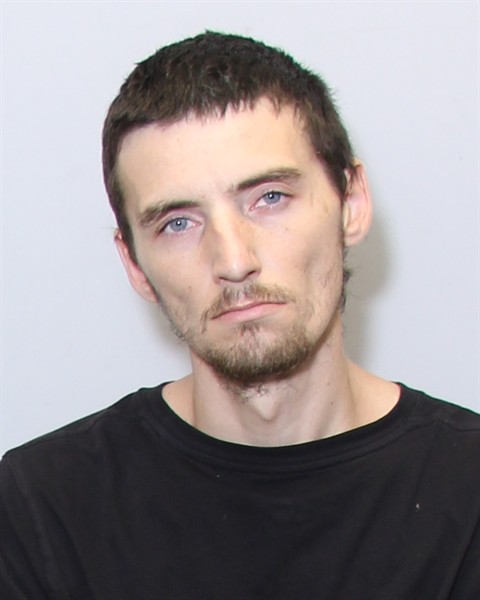 Mugshot of JAMES BRYAN LOCKLEAR