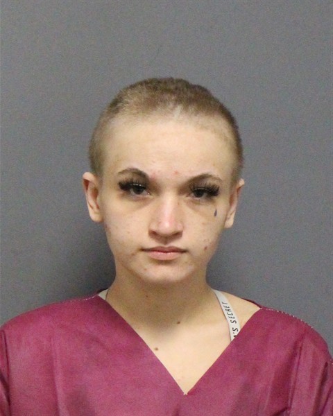 Mugshot of AYDEN MIDDLETON