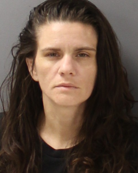 Mugshot of LEIGH ANN LOCKLEAR