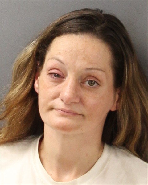 Mugshot of ERIKA NICOLE BOLTON