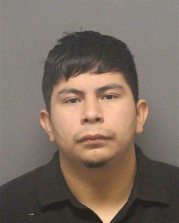 Mugshot of MARIO ELIAS FLORES-MARTINEZ