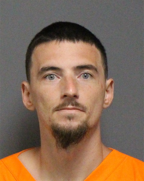 Mugshot of JAMES BRYAN LOCKLEAR