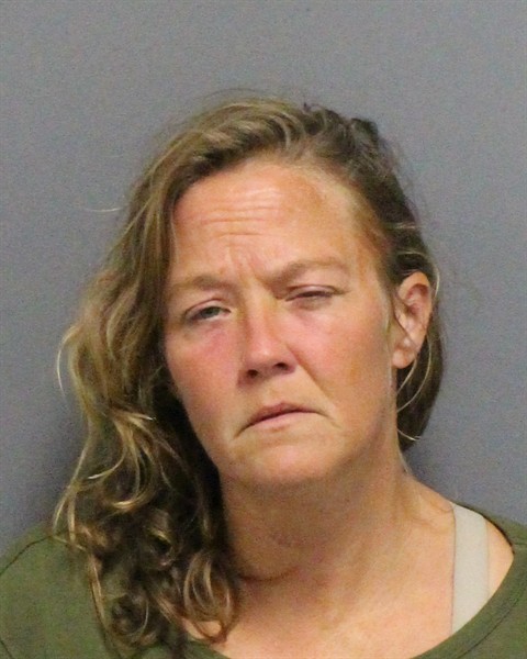 Mugshot of ASHLEY LEIGH JOHNSTON