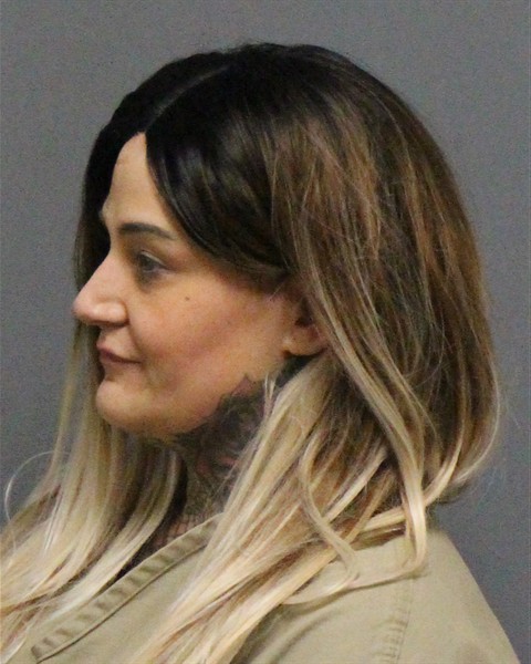 Mugshot of GABRIELLE NICOLETTE KING
