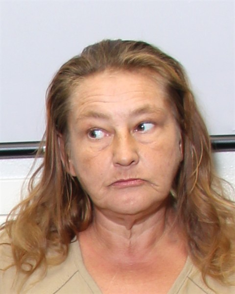 Mugshot of MELISSA ANN WALLACE