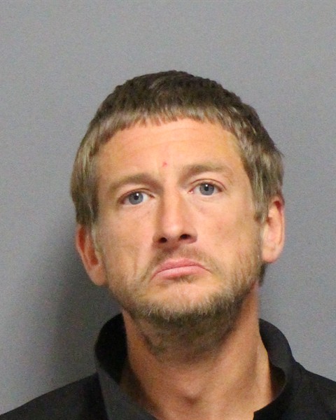 Mugshot of BRIAN DAVID LYNHAM