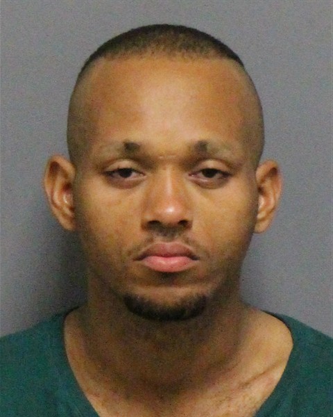 Mugshot of LEWIS WILLIAM FLOWERS