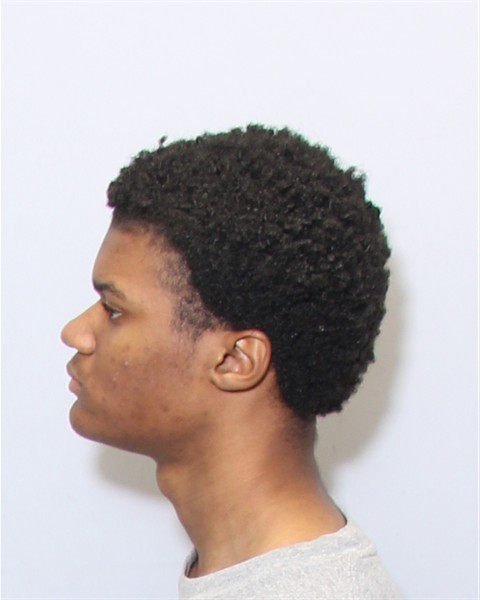 Mugshot of BRYANT AHMAD SUITER