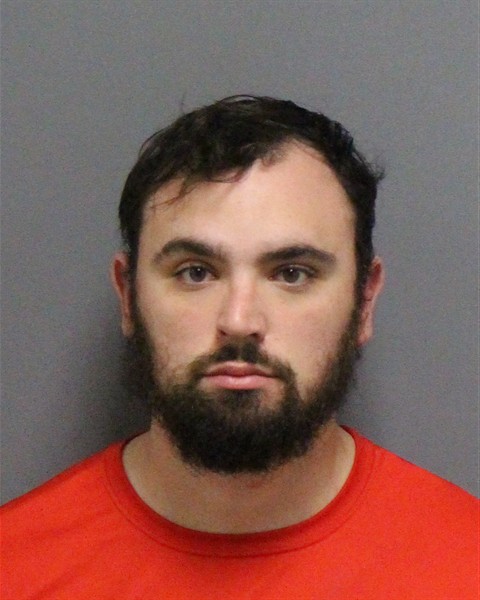 Mugshot of DALTON GREY EVANS