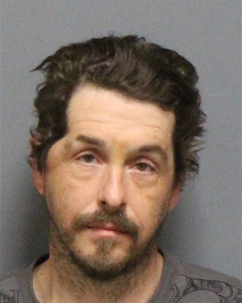 Mugshot of BRAD ELLIOTT HAMILTON