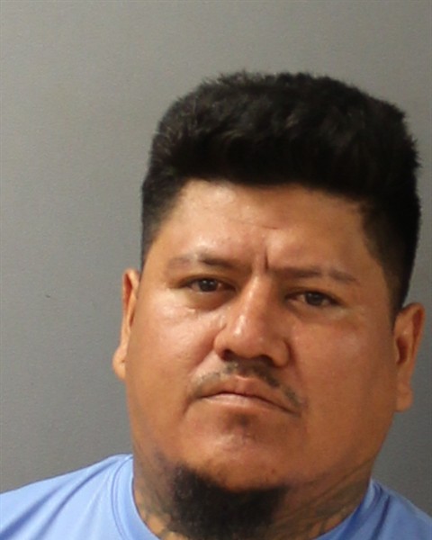 Mugshot of ROBERTO CARLOS MAGALLAN