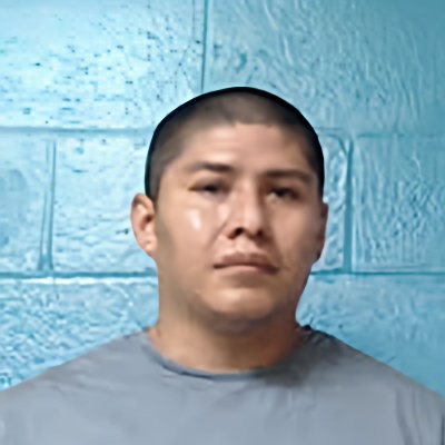 Mugshot of LUIS ENRIQUE FLORES