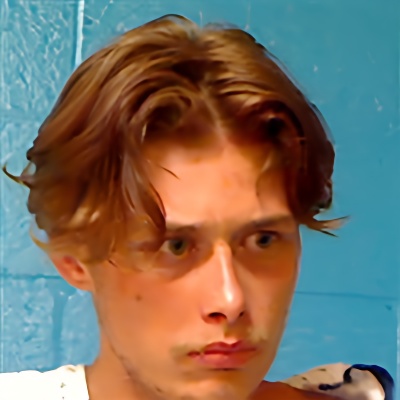 Mugshot of BRANDON LEE EVANS