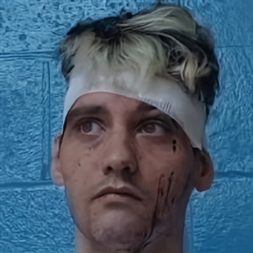 Mugshot of JOSHUA KYLE BRADLEY