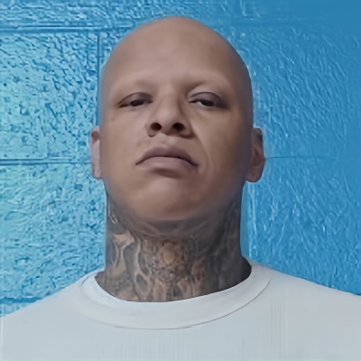 Mugshot of TOREY A RICHARDSON