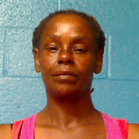 Mugshot of RHONDA POWELL