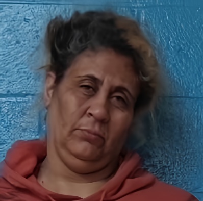 Mugshot of ANGELINA AYERS