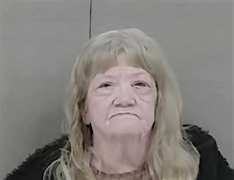 Mugshot of FAYE MCLEAN