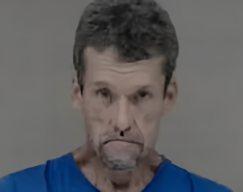 Mugshot of JERRY LEE WALSTON