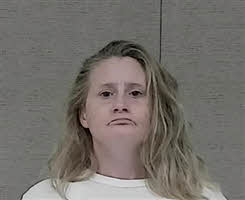 Mugshot of JESSICA LOUISE JOHNSON
