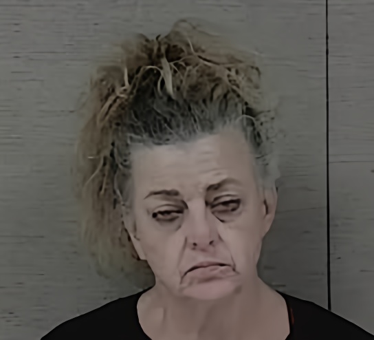 Mugshot of RENEE BENNETT