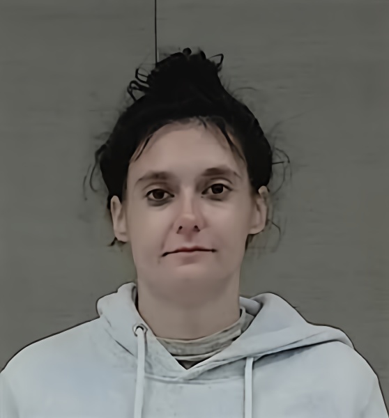 Mugshot of BRANDY MICHELLE WILLIFORD