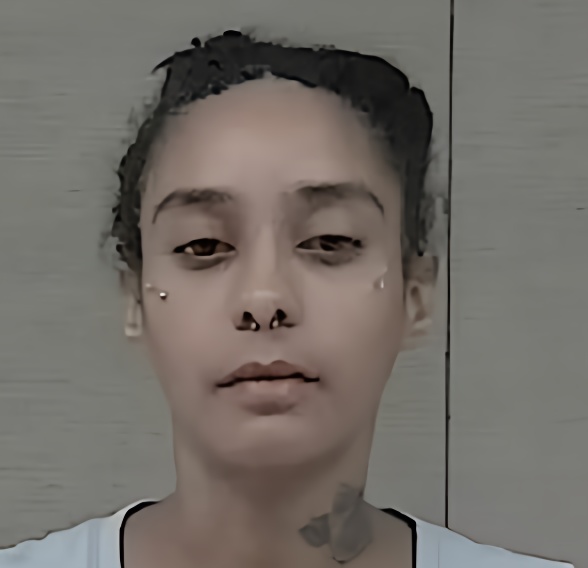 Mugshot of ERICA DIANE MCCALLUM
