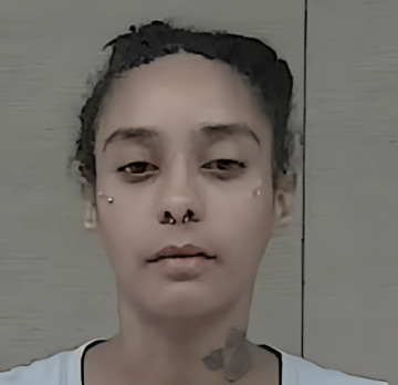 Mugshot of ERICA DIANE MCCALLUM
