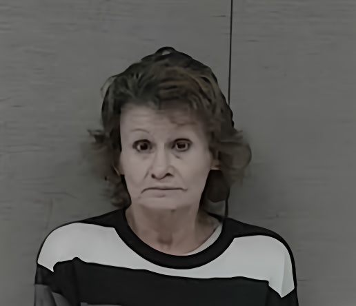 Mugshot of TONI MOORE PERRY