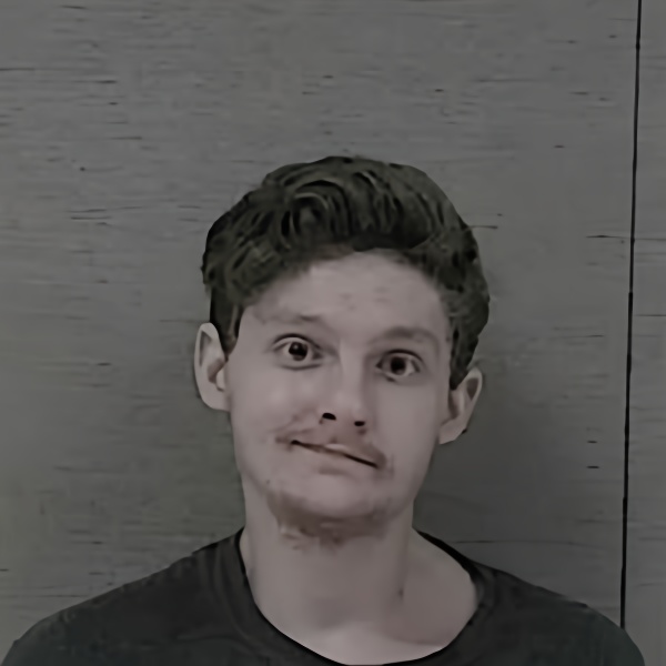 Mugshot of shawn MICHAEL verbit