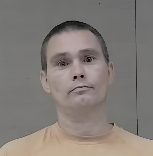 Mugshot of BRIAN DANIEL BOROWSKI