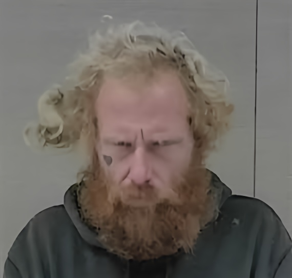 Mugshot of MICHAEL BRYAN DAUGHTRY