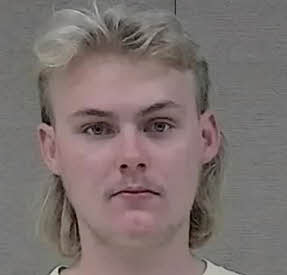 Mugshot of RYLEE DUCH BROWN