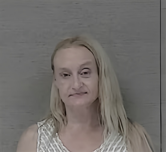 Mugshot of Ashley Deann Hill
