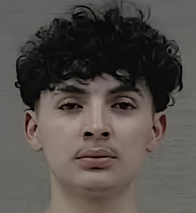 Mugshot of ELI JOSUE PERDOMO NUNEZ