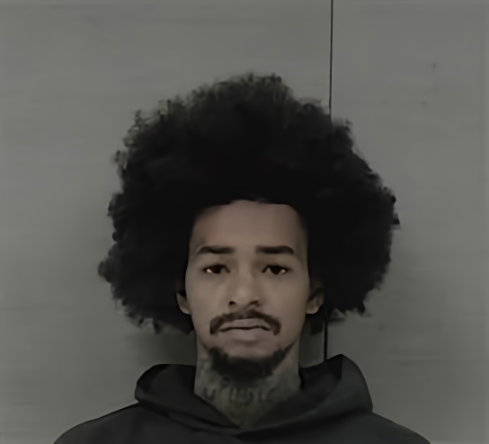 Mugshot of ZAIRE SEMAJ MCLEAN
