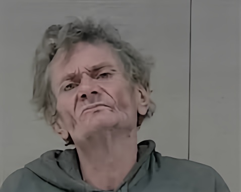 Mugshot of RONNIE MITCHELL HAIR
