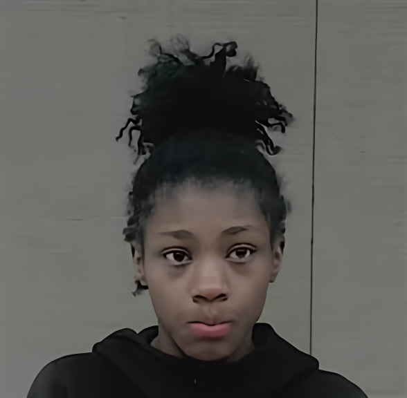 Mugshot of MEGAN AMBROSIA JACKSON